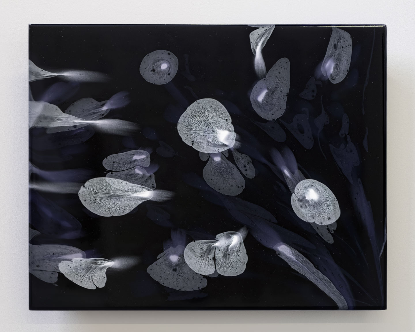 Rene Blouin at Division